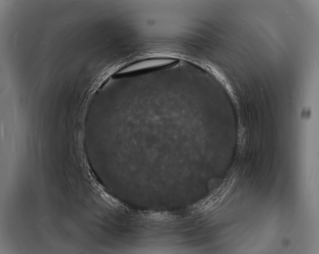 X0000102220385200807251216