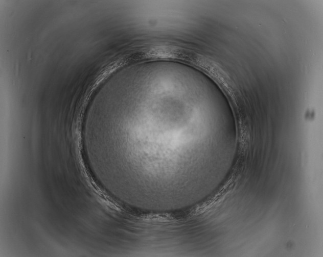 X0000102220386200807251216