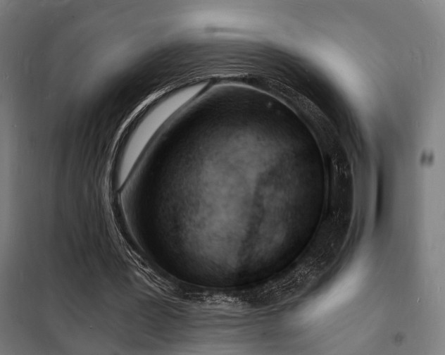 X0000102220387200807251216