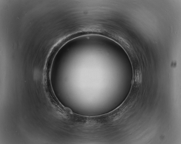 X0000102220388200807251216