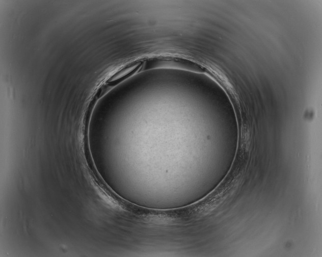 X0000102220389200807251216