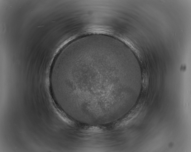 X0000102220390200807251216