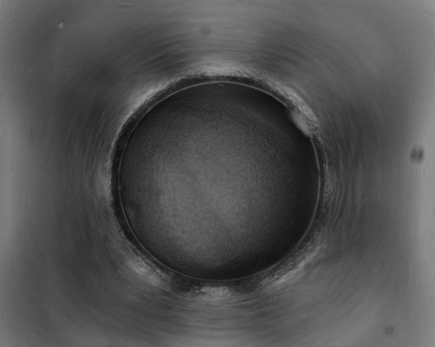 X0000102220391200807251216