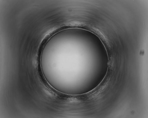 X0000102220392200807251216