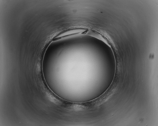 X0000102220393200807251216