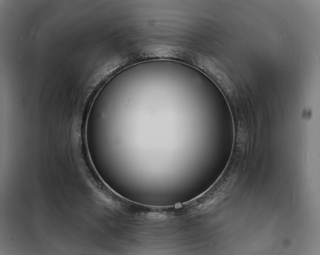 X0000102220394200807251216