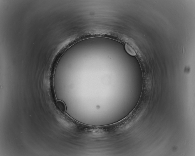 X0000102220395200807251216