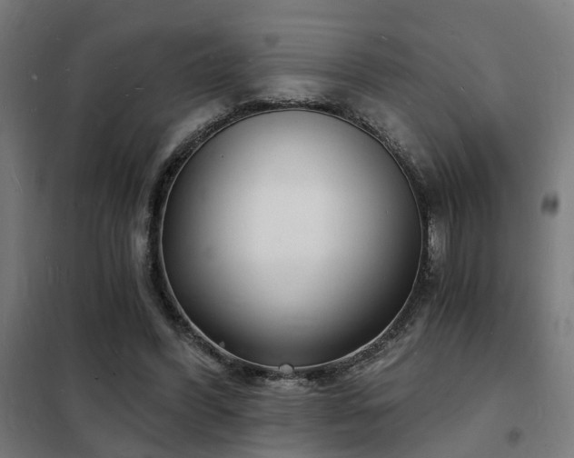 X0000102220396200807251216