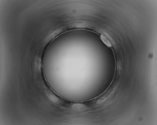 X0000102220397200807251216