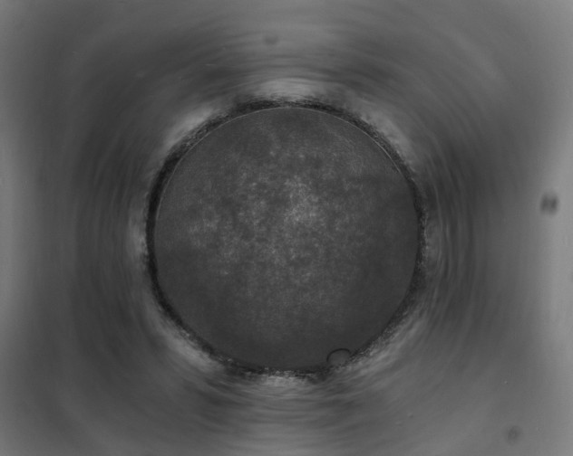 X0000102220399200807251216