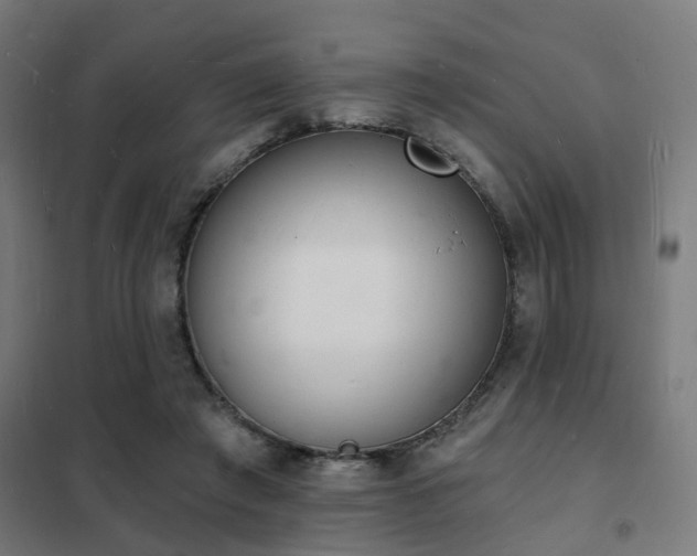 X0000102220401200807251216