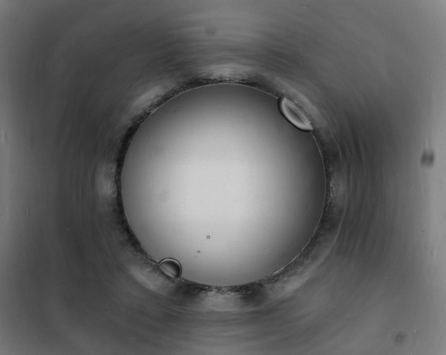 X0000102220403200807251216