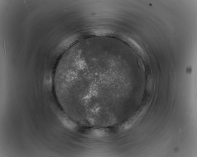 X0000102220405200807251216