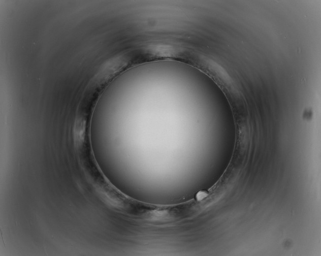 X0000102220406200807251216