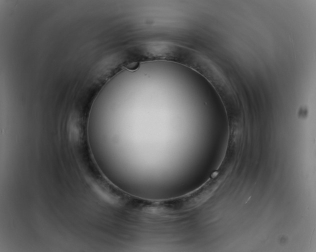 X0000102220408200807251216