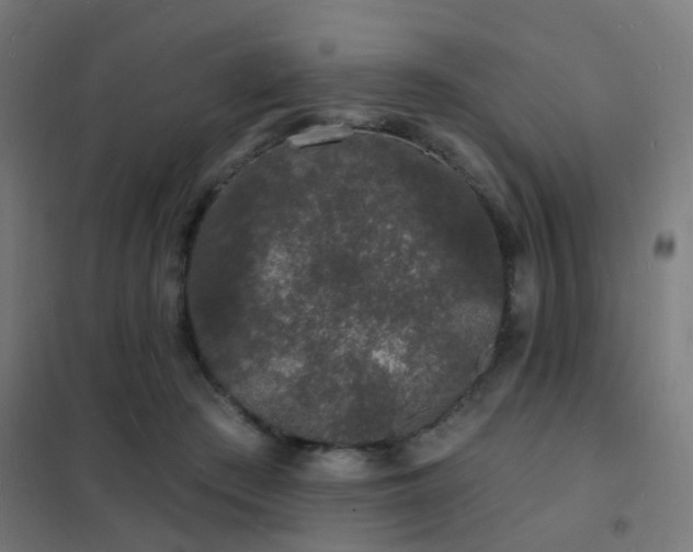 X0000102220409200807251216