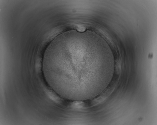 X0000102220410200807251216