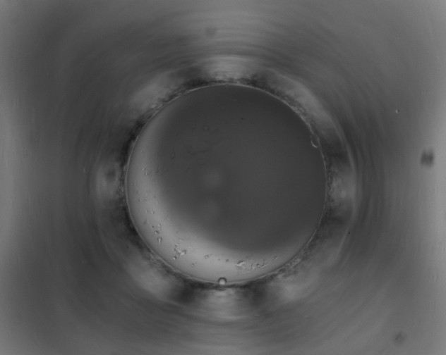 X0000102220411200807251216