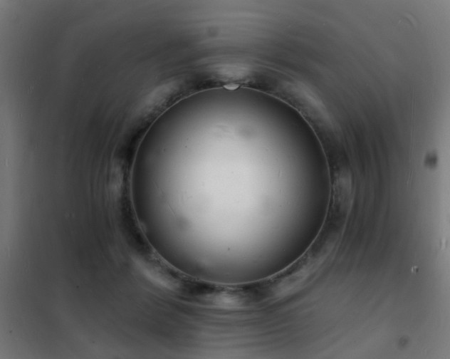 X0000102220412200807251215