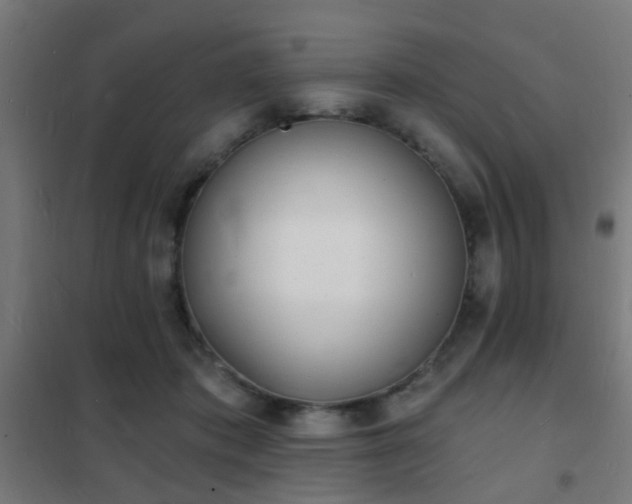 X0000102220413200807251215