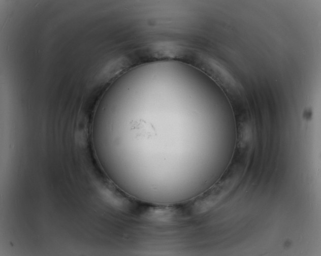 X0000102220414200807251215