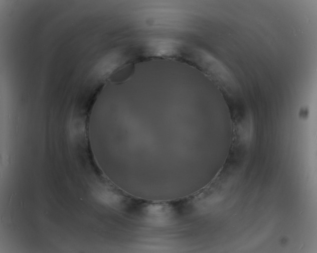 X0000102220415200807251215