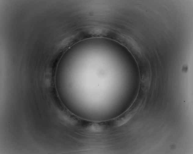 X0000102220416200807251215