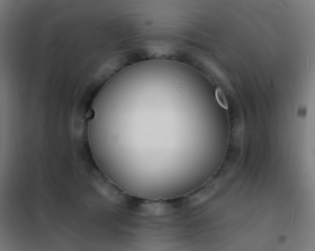 X0000102220417200807251215