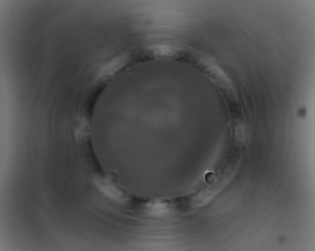 X0000102220419200807251215