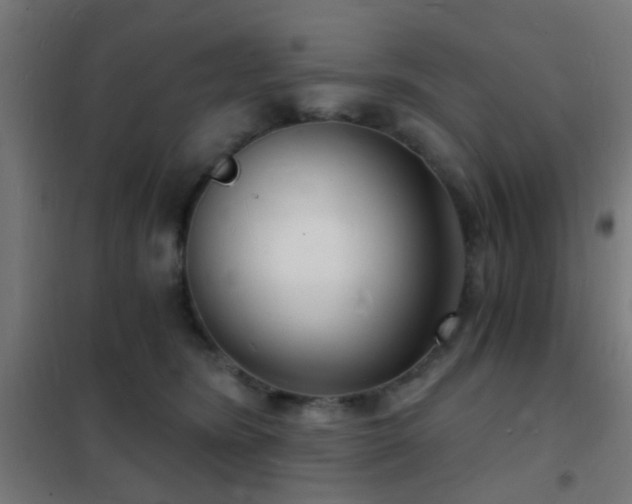 X0000102220420200807251215