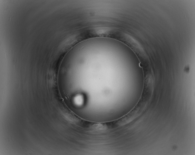 X0000102220421200807251215