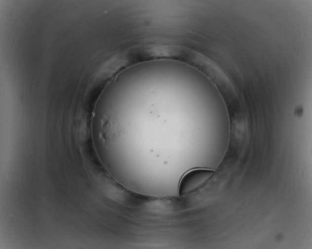 X0000102220422200807251215