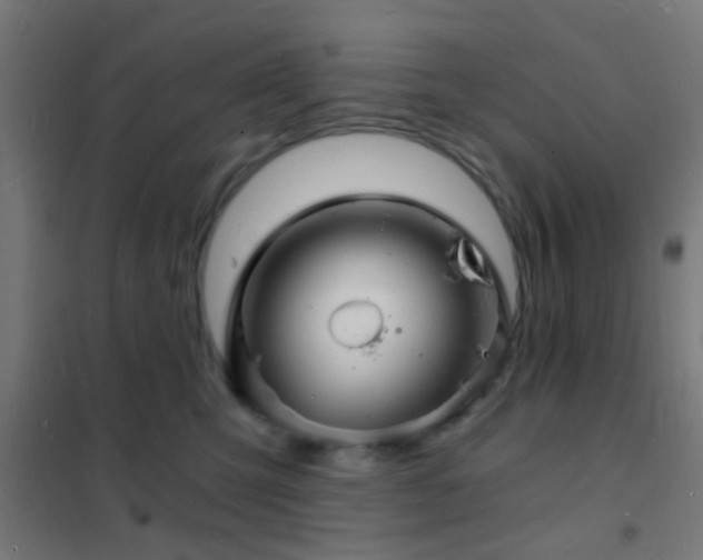 X0000102220423200807251215