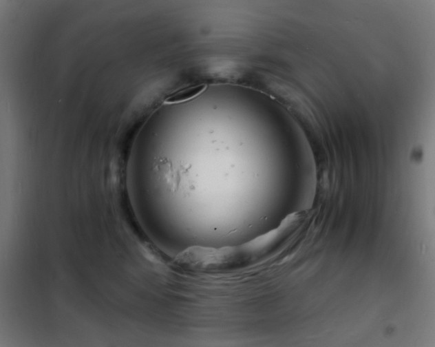 X0000102220424200807251215