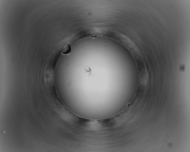 X0000102220425200807251215