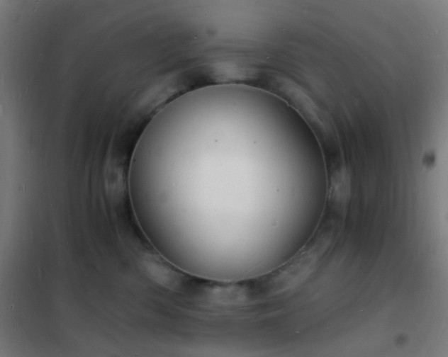 X0000102220426200807251215