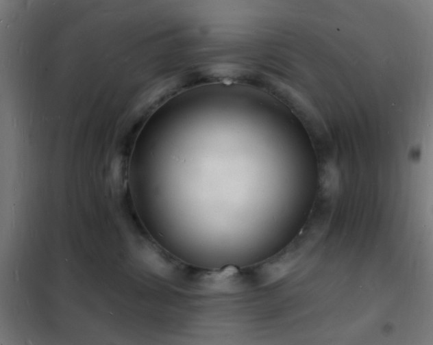 X0000102220428200807251215