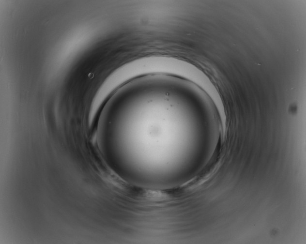 X0000102220429200807251215