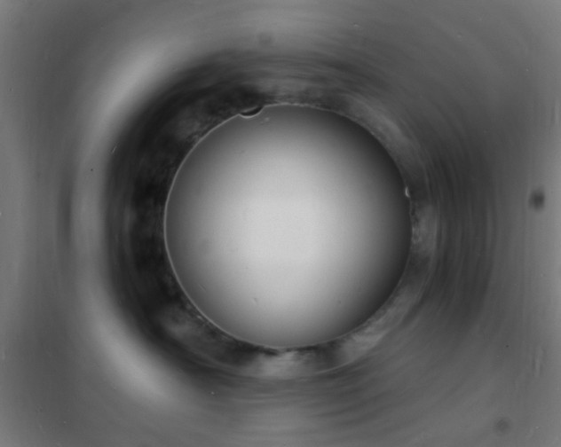 X0000102220430200807251215