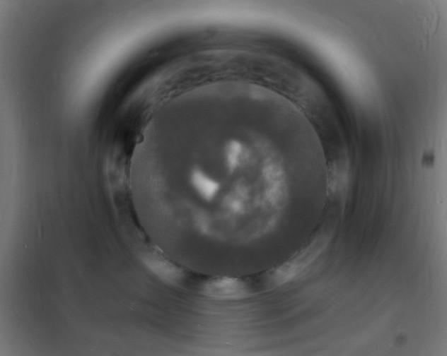 X0000102220431200807251215