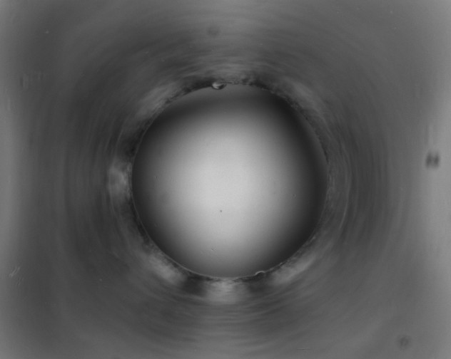 X0000102220432200807251215