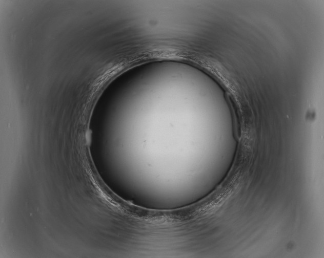 X0000102220433200807251214