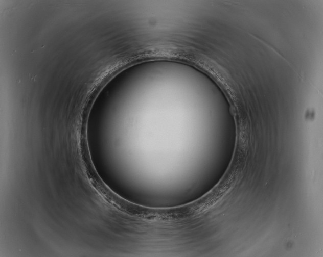 X0000102220434200807251214