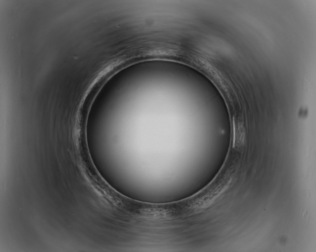 X0000102220435200807251214