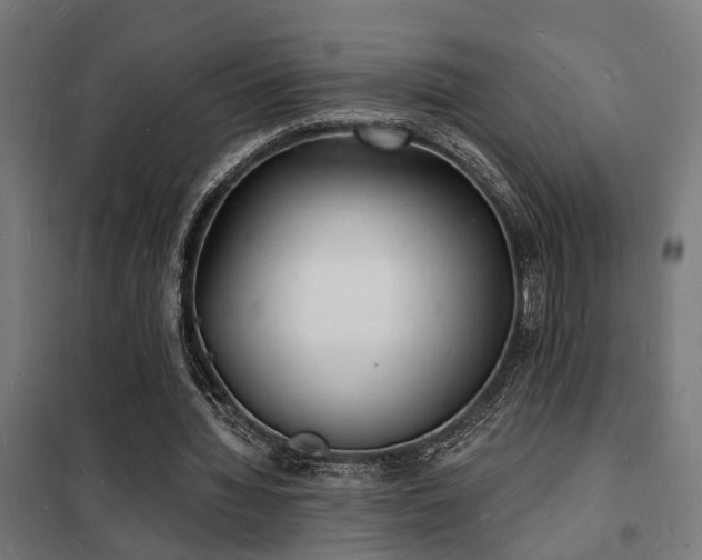 X0000102220436200807251214