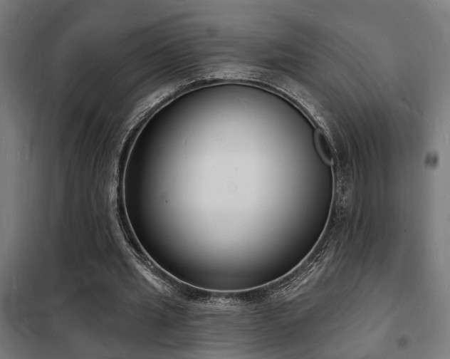 X0000102220437200807251214