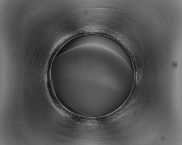 X0000102220438200807251214