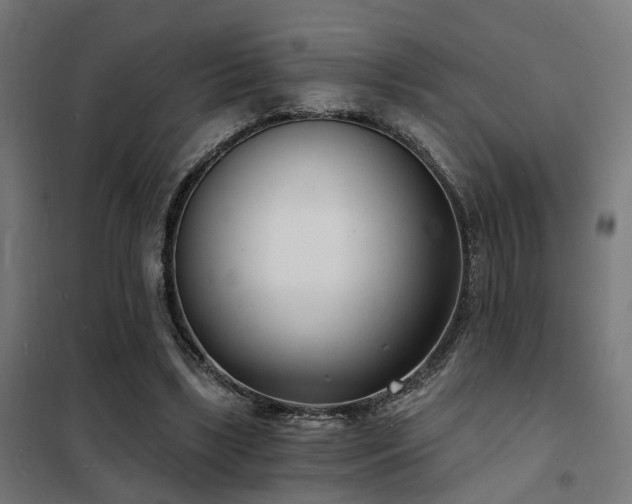 X0000102220443200807251214