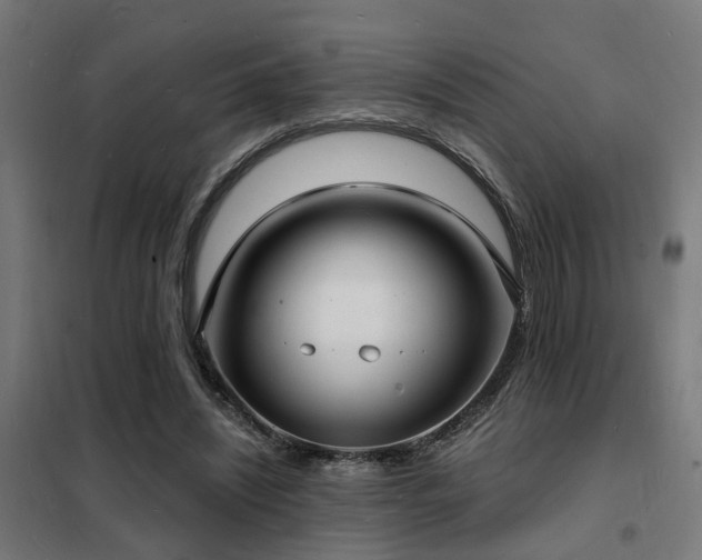 X0000102220444200807251214