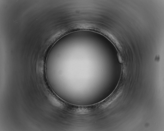 X0000102220445200807251214